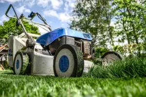 Oktober im Garten: Winterfit werden & den Frühling vorbereiten