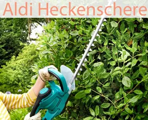 Aldi elektro Heckenschere im März