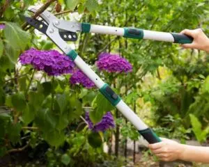 ALDI Teleskop Astschere März 2021 von Gardenline