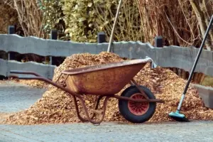 Gartentipps für Februar