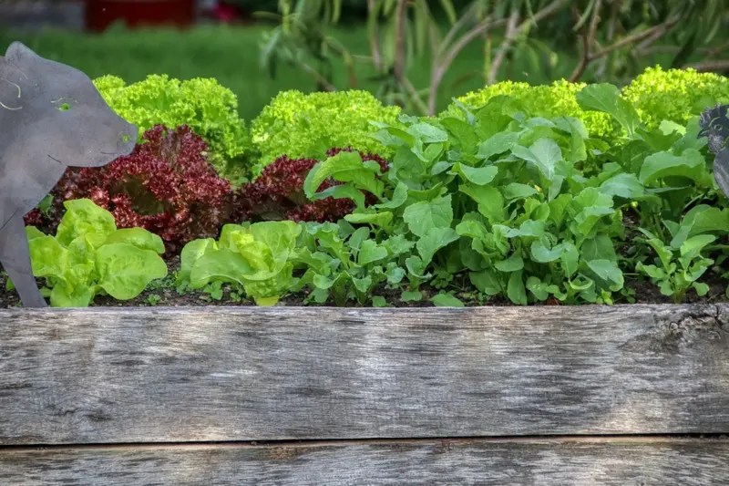 Hochbeet für den eigenen Garten