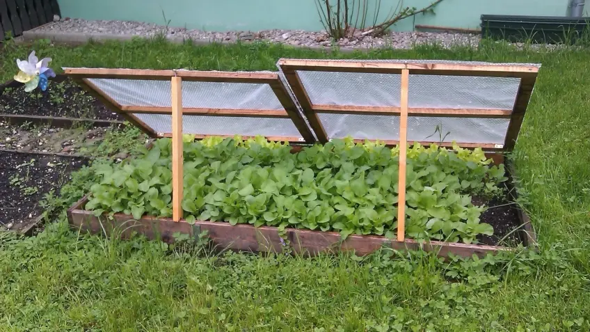 Pflanzen ziehen im Frühling – Das Mistbeet