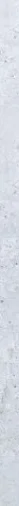 Chrysanthemen / -Trio Angebot ab Mo. 06. Juli 2026