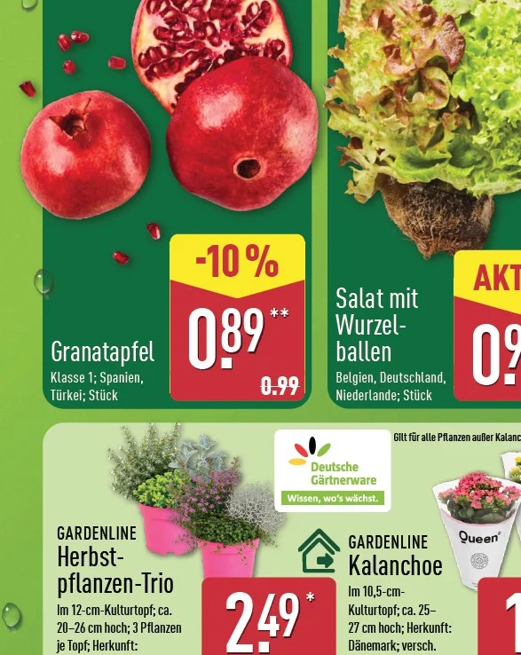 Herbstpflanzen-Trio Angebot ab Do. 15. Oktober 2026