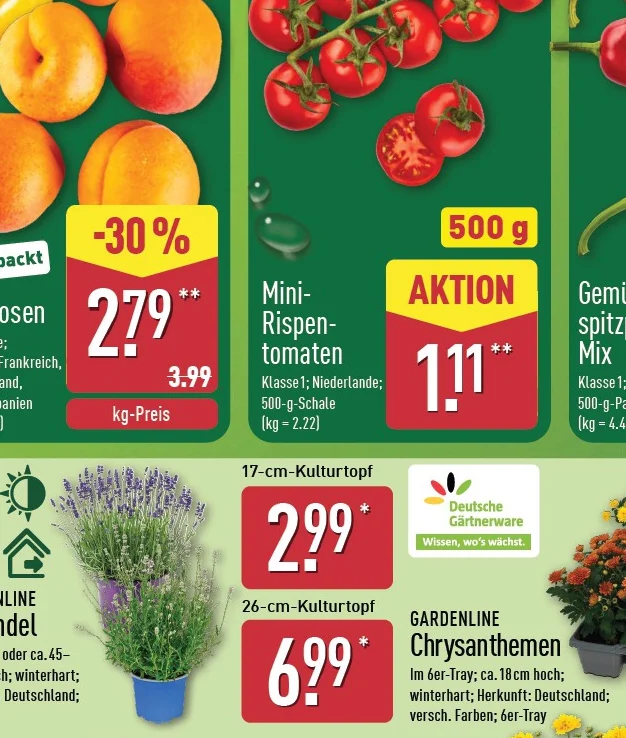 Lavendel Angebot ab Do. 16. Juli 2026