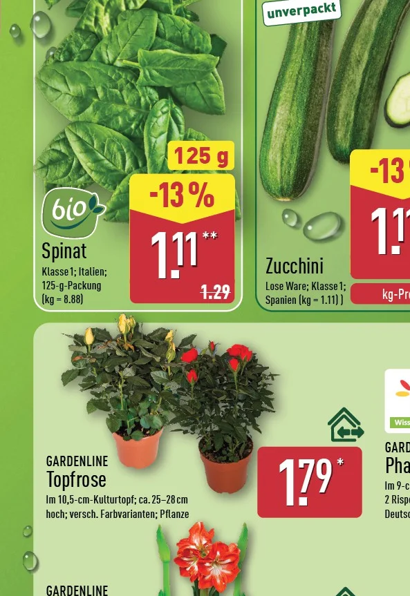 ALDI Nord Herbstpflanzen & Topfrose ab Do. 29. Oktober 2026