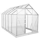 Zelsius Aluminium Gewächshaus für den Garten | inklusive Fundament | 310 x 190 cm | 6 mm Platten | Vielseitig nutzbar als Treibhaus, Tomatenhaus, Frühbeet und Pflanzenhaus