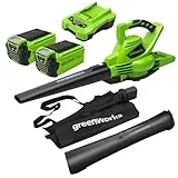 Greenworks Akku-Laubsauger und -Laubbläser 2in1 GD40BVK2X (Li-Ion 40V 185 km/h Luftgeschwindigkeit 45l Fangsack Drehzahlregulierung leistungsstarker brushless Motor inkl 2 Akkus 2Ah und Ladegerät)