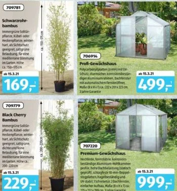 ALDI Gewächshaus 2026