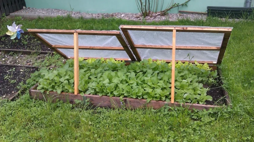 Frühbeet - Mistbeet - Endlich wieder Garten