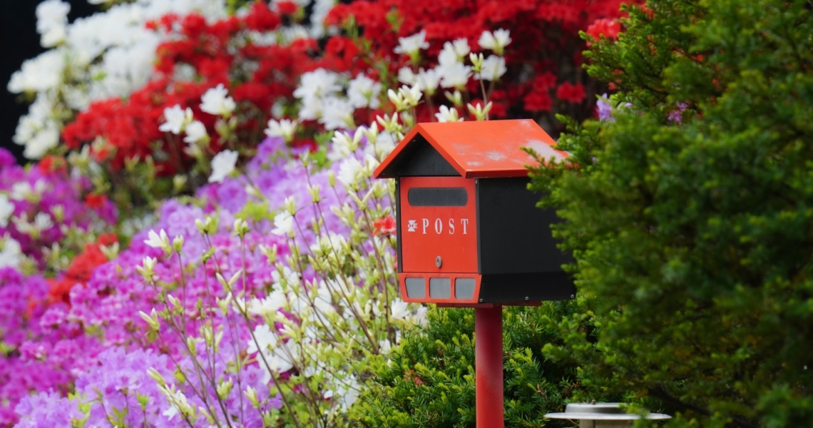 Magazin rund um den Garten Endlich wieder Garten
