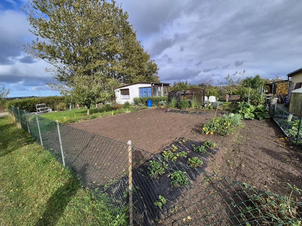 Gartentipps für den Herbst