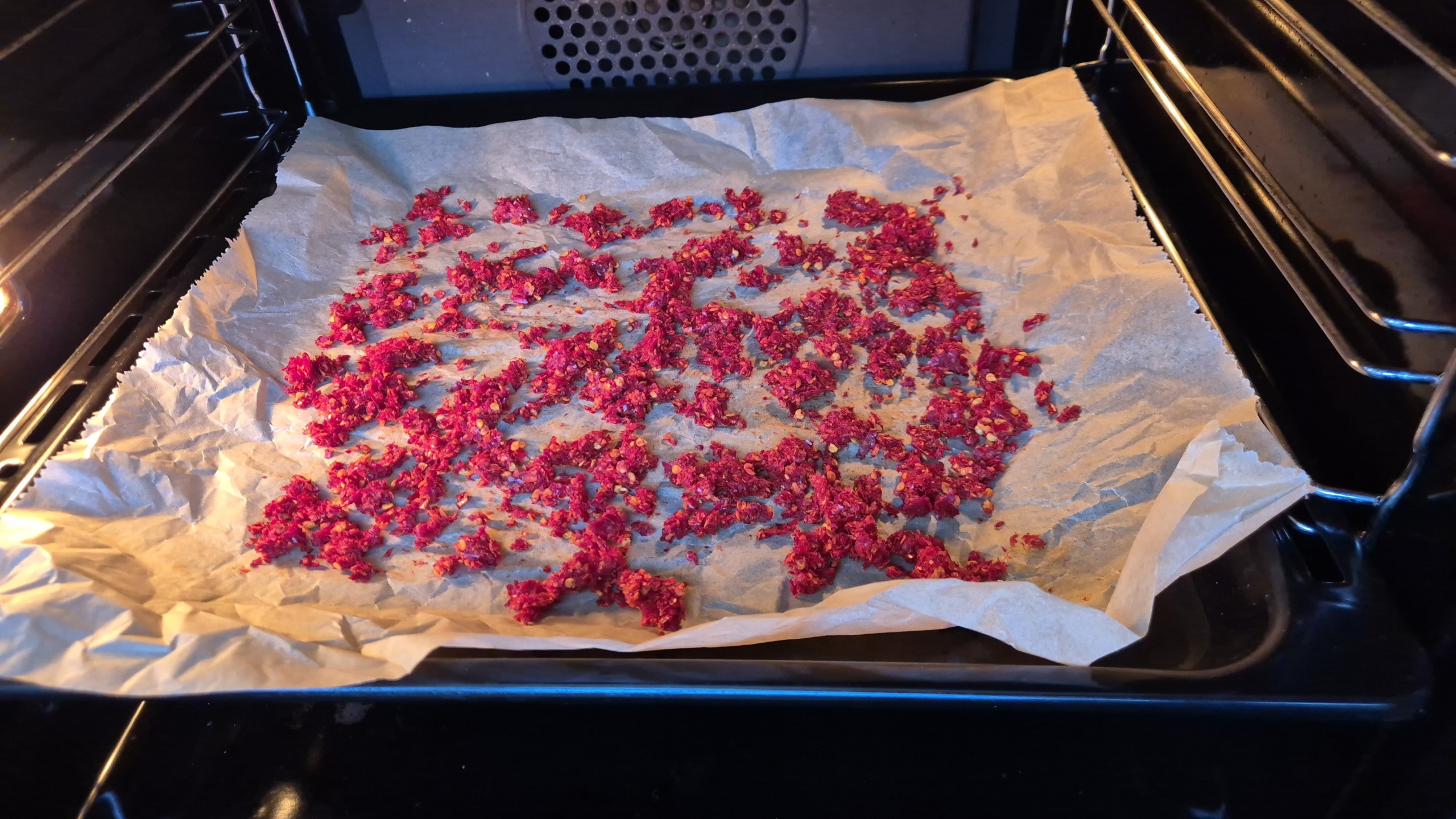chili pflanzen trocknen im ofen edited scaled 2025